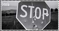 stop bush