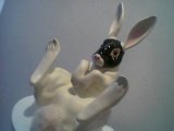 wabbit